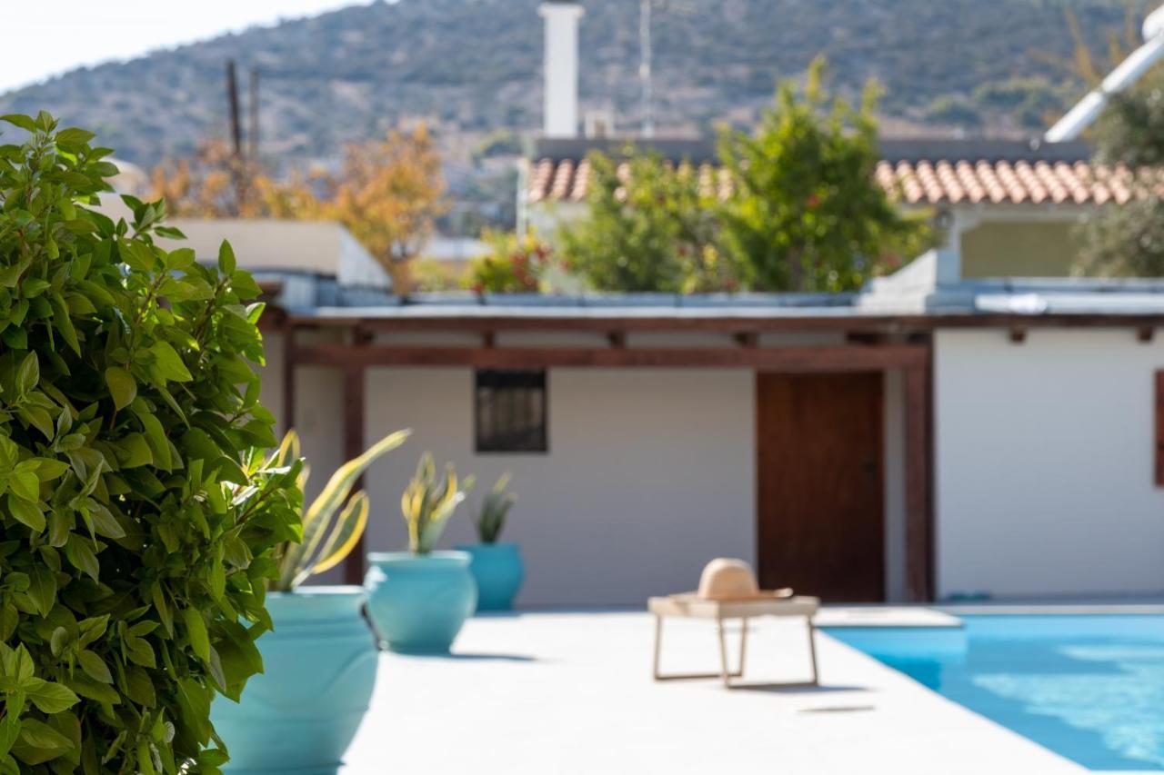 Green House Ariadni Αρτέμιδα Εξωτερικό φωτογραφία